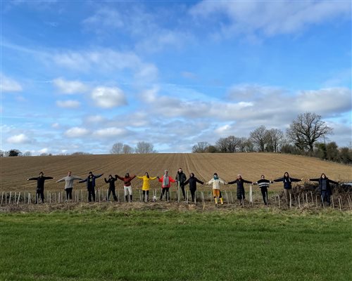 Hedge planting